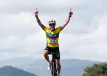 classificação do vestibulinho