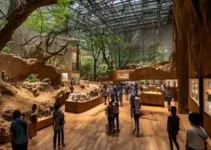 Museu de História Natural de Itapira