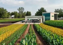 Secretaria Municipal de Agricultura em Dia de Campo na Embrapa