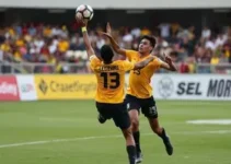 Sub16 da SEL