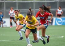 IHC/SEL/Visar disputa Adulto Feminino LHI